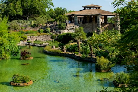 a japanese garden in san antonio