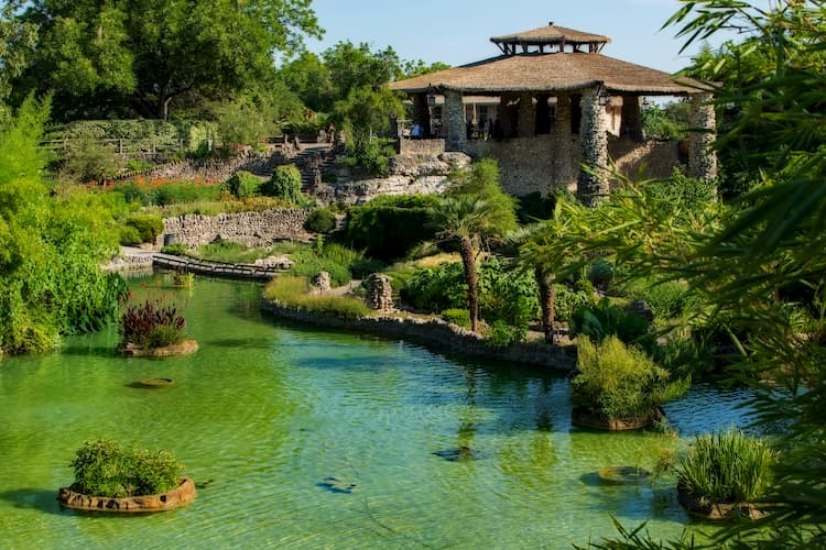 a calming pond in San Antonio's Japanese Tea Garden