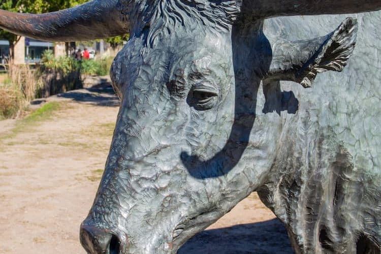 Longhorn cow sculpture in Pioneer Plaza