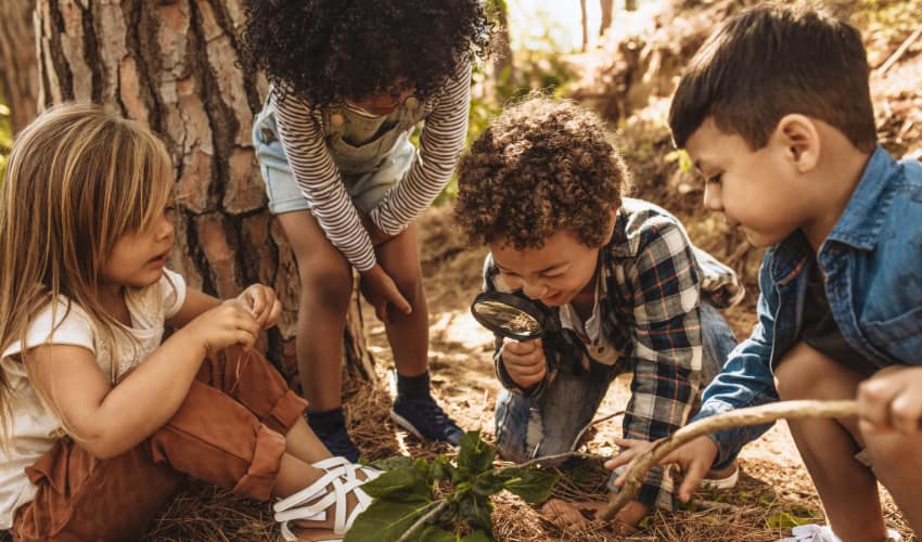 children use a magnifying glass to observe a plant in a nature center