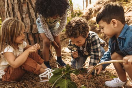 children use a magnifying glass to observe a plant in a nature center