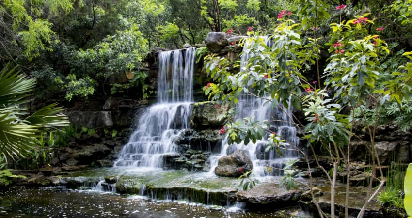 a waterfall and lush greenery in the Zilker Botanical Garden