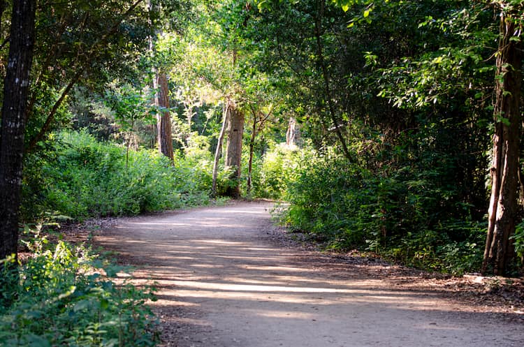 Houston Arboreteum