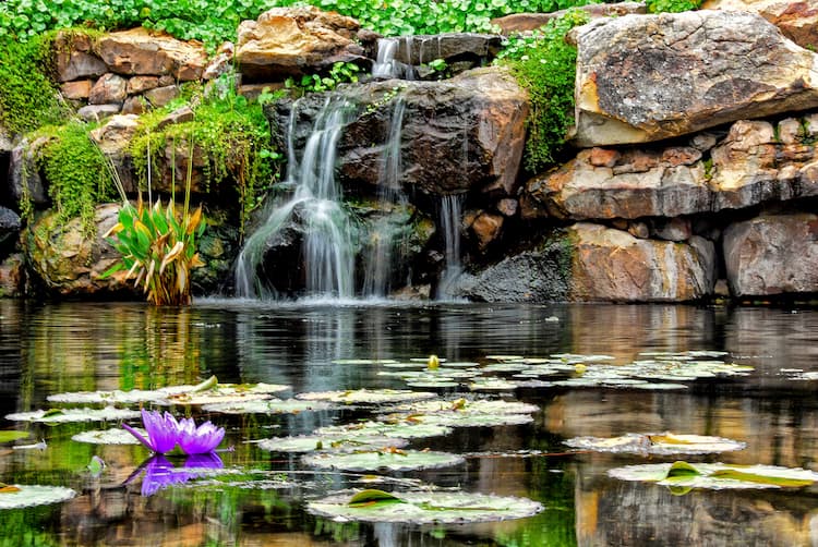 Dallas Arboretum and Botanical Garden